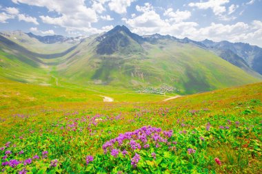 Sis Nehri (Trovit Kapısı / Çamlıhemşin / Rize)