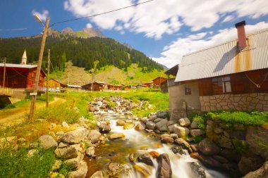 Elevit Yaylası (Çamlıhemşin / Rize / Türkiye)