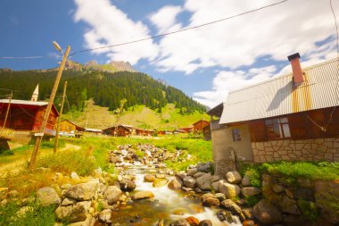 Elevit Yaylası (Çamlıhemşin / Rize / Türkiye)