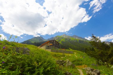 Elevit Yaylası (Çamlıhemşin / Rize / Türkiye)