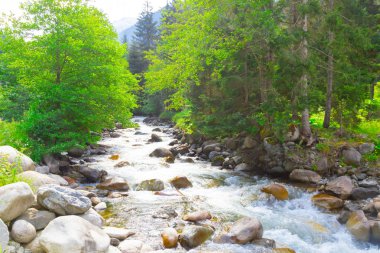 Türkiye'nin Karadeniz bölgesinde sisin altında nehir üzerinde eski tarihi taş köprü. Senyuva'da tarihi Osmanlı köprüsü Taşköprü, Ermenice Cinciva, Rize'de Çamlıhemşin yakınlarındaki Firtina nehri üzerinde