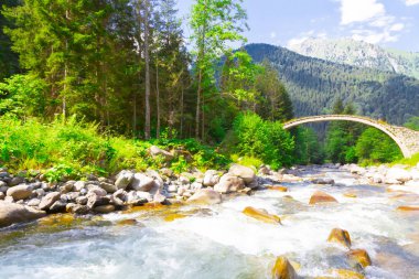 Türkiye'nin Karadeniz bölgesinde sisin altında nehir üzerinde eski tarihi taş köprü. Senyuva'da tarihi Osmanlı köprüsü Taşköprü, Ermenice Cinciva, Rize'de Çamlıhemşin yakınlarındaki Firtina nehri üzerinde