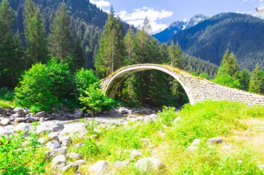 Türkiye'nin Karadeniz bölgesinde sisin altında nehir üzerinde eski tarihi taş köprü. Senyuva'da tarihi Osmanlı köprüsü Taşköprü, Ermenice Cinciva, Rize'de Çamlıhemşin yakınlarındaki Firtina nehri üzerinde