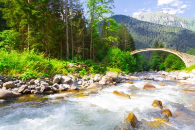 Türkiye'nin Karadeniz bölgesinde sisin altında nehir üzerinde eski tarihi taş köprü. Senyuva'da tarihi Osmanlı köprüsü Taşköprü, Ermenice Cinciva, Rize'de Çamlıhemşin yakınlarındaki Firtina nehri üzerinde