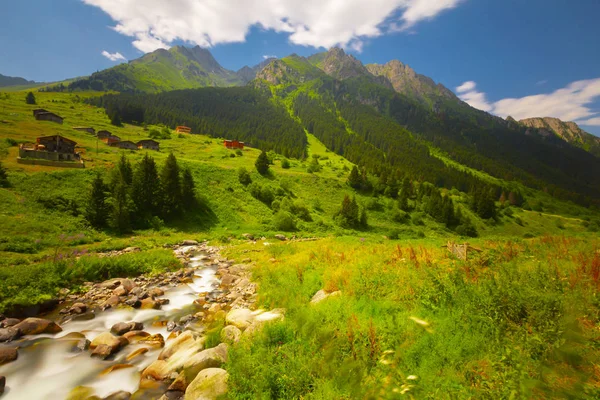 Hochebene Camlihemsin Rize Truthahn — Stockfoto