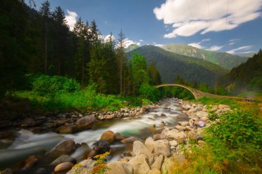 Türkiye'nin Karadeniz bölgesinde sisin altında nehir üzerinde eski tarihi taş köprü. Senyuva'da tarihi Osmanlı köprüsü Taşköprü, Ermenice Cinciva, Rize'de Çamlıhemşin yakınlarındaki Firtina nehri üzerinde