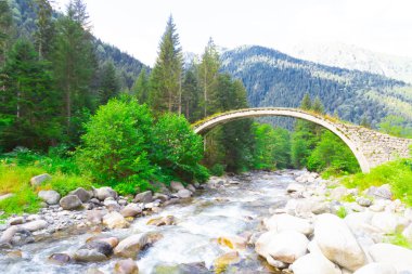 Türkiye'nin Karadeniz bölgesinde sisin altında nehir üzerinde eski tarihi taş köprü. Senyuva'da tarihi Osmanlı köprüsü Taşköprü, Ermenice Cinciva, Rize'de Çamlıhemşin yakınlarındaki Firtina nehri üzerinde