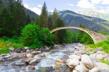 Türkiye'nin Karadeniz bölgesinde sisin altında nehir üzerinde eski tarihi taş köprü. Senyuva'da tarihi Osmanlı köprüsü Taşköprü, Ermenice Cinciva, Rize'de Çamlıhemşin yakınlarındaki Firtina nehri üzerinde