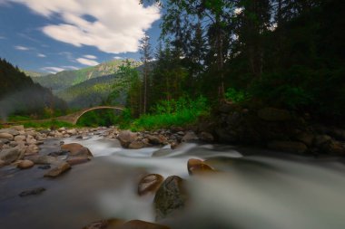 Türkiye'nin Karadeniz bölgesinde sisin altında nehir üzerinde eski tarihi taş köprü. Senyuva'da tarihi Osmanlı köprüsü Taşköprü, Ermenice Cinciva, Rize'de Çamlıhemşin yakınlarındaki Firtina nehri üzerinde