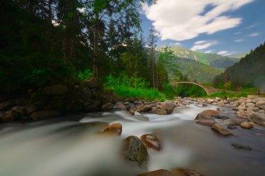 Türkiye'nin Karadeniz bölgesinde sisin altında nehir üzerinde eski tarihi taş köprü. Senyuva'da tarihi Osmanlı köprüsü Taşköprü, Ermenice Cinciva, Rize'de Çamlıhemşin yakınlarındaki Firtina nehri üzerinde