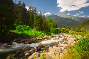Türkiye'nin Karadeniz bölgesinde sisin altında nehir üzerinde eski tarihi taş köprü. Senyuva'da tarihi Osmanlı köprüsü Taşköprü, Ermenice Cinciva, Rize'de Çamlıhemşin yakınlarındaki Firtina nehri üzerinde