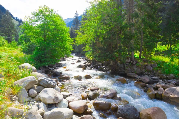 Türkiye'nin Karadeniz bölgesinde sisin altında nehir üzerinde eski tarihi taş köprü. Senyuva'da tarihi Osmanlı köprüsü Taşköprü, Ermenice Cinciva, Rize'de Çamlıhemşin yakınlarındaki Firtina nehri üzerinde