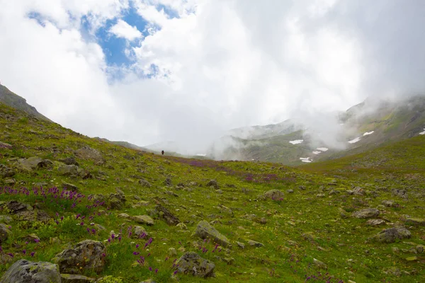 Ambarli Hochebene Und Fischsee Rize — Stockfoto