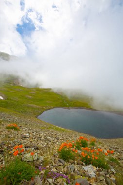 Ambarlı Yaylası ve Balık Gölü / Rize