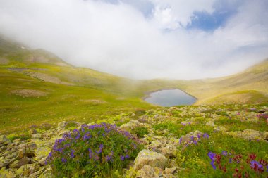 Ambarlı Yaylası ve Balık Gölü / Rize