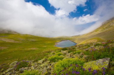 Ambarlı Yaylası ve Balık Gölü / Rize