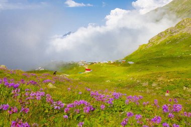 Ambarlı Yaylası ve Balık Gölü / Rize