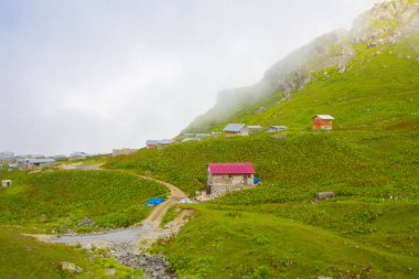 Ambarlı Yaylası ve Balık Gölü / Rize