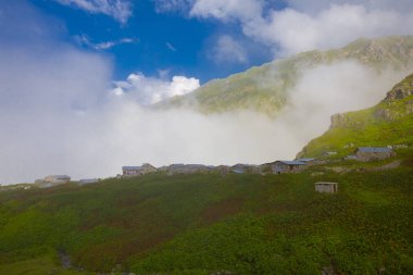 Ambarlı Yaylası ve Balık Gölü / Rize