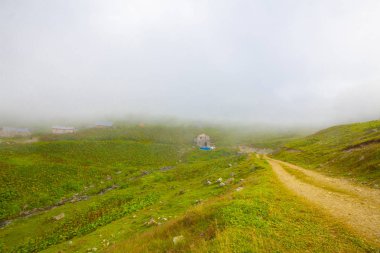 Ambarlı Yaylası ve Balık Gölü / Rize
