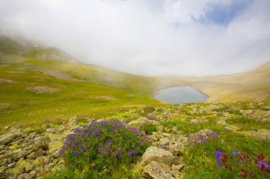 Karadeniz, Rize Amlakit Deresi, Türkiye, View