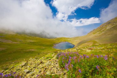 Karadeniz, Rize Amlakit Deresi, Türkiye, View