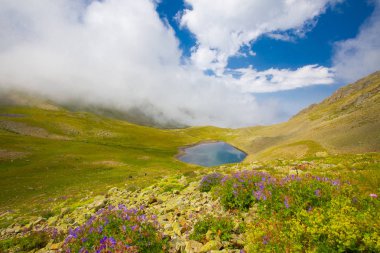 Karadeniz, Rize Amlakit Deresi, Türkiye, View