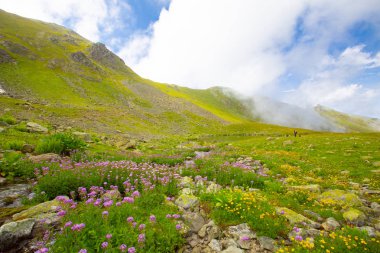 Karadeniz, Rize Amlakit Deresi, Türkiye, View