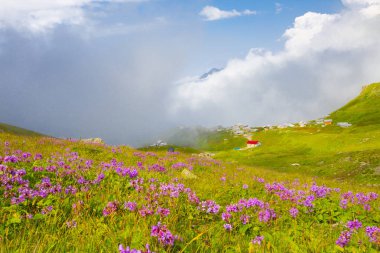 Karadeniz, Rize Amlakit Deresi, Türkiye, View