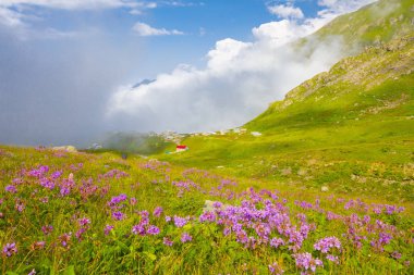 Karadeniz, Rize Amlakit Deresi, Türkiye, View
