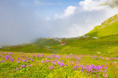 Karadeniz, Rize Amlakit Deresi, Türkiye, View