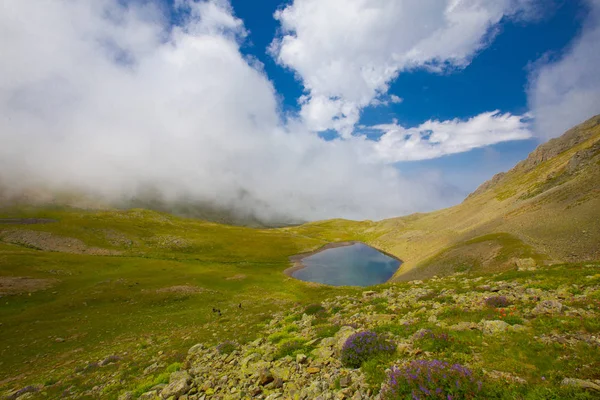 Ambarlı Yaylası ve Balık Gölü / Rize