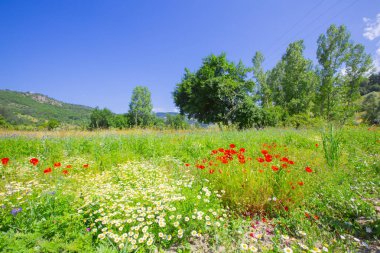 Kastamonu ilinde Kure dağlarında Valla Kanyonu, Türkiye