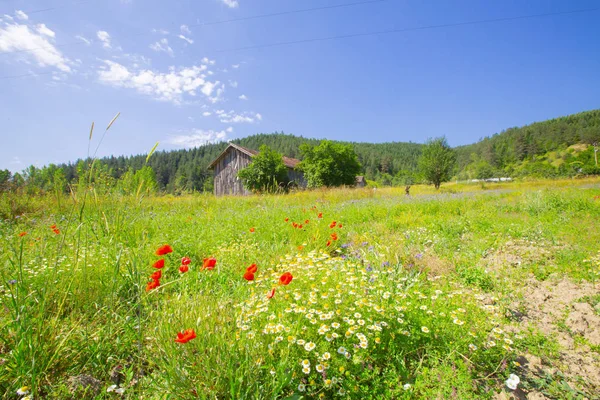 Kloof Van Valla Kure Mountains Provincie Kastamonu Turkije — Stockfoto