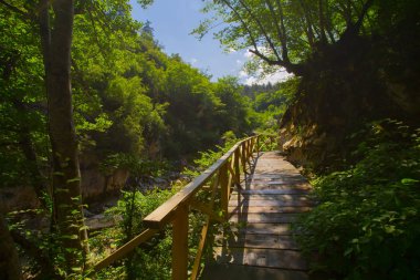 Kastamonu ilinde Kure dağlarında Valla Kanyonu, Türkiye