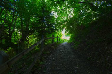 Kastamonu ilinde Kure dağlarında Valla Kanyonu, Türkiye