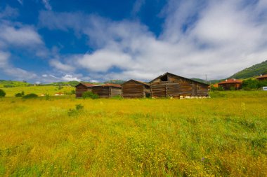 Kastamonu ilinde Kure dağlarında Valla Kanyonu, Türkiye