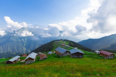 Türkiye'de Kaçkar Dağları'nda Pokut Platosu
