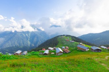 Türkiye'de Kaçkar Dağları'nda Pokut Platosu
