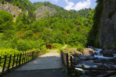 Çamlıhemşin yakınlarındaki Tar nehri şelalesinin yakın çekim görünümü, Rize, Türkiye