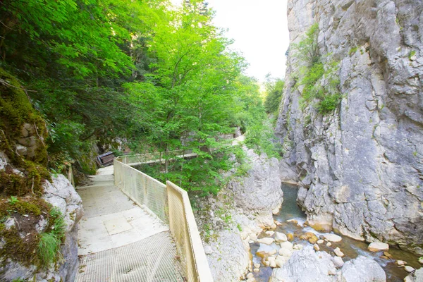 Kloof Van Valla Kure Mountains Provincie Kastamonu Turkije — Stockfoto