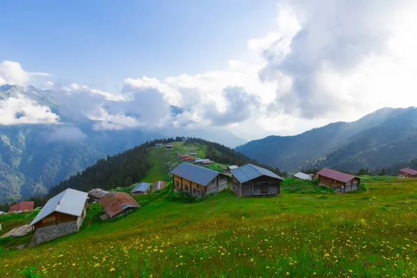 Plateau Pokut Auf Den Kackar Bergen Der Türkei — Stockfoto