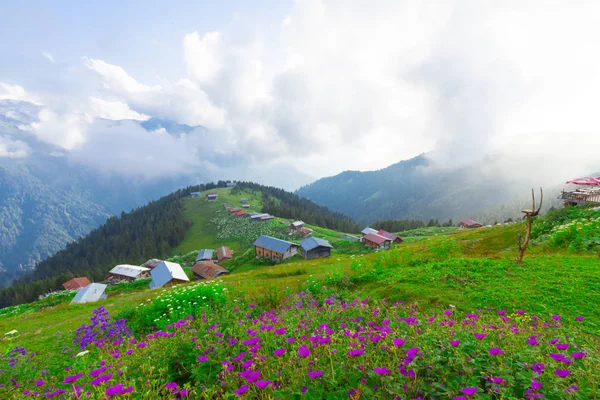 Plateau Pokut Auf Den Kackar Bergen Der Türkei — Stockfoto