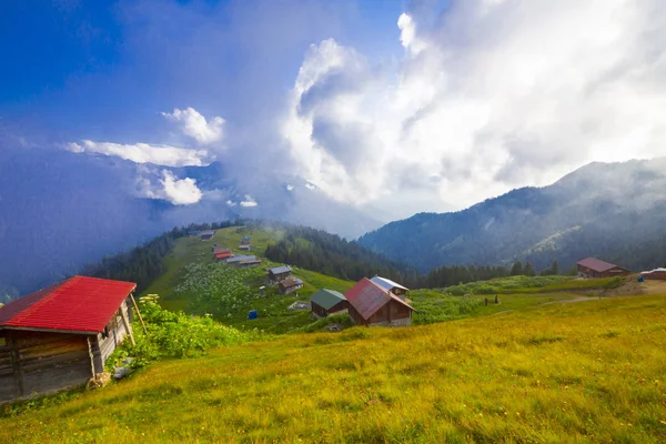 Plateau Pokut Auf Den Kackar Bergen Der Türkei — Stockfoto