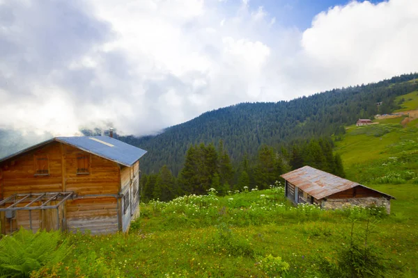 Plateau Pokut Nas Montanhas Kackar Turquia — Fotografia de Stock