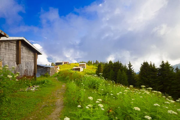 Plateau Pokut Sur Les Montagnes Kackar Turquie — Photo