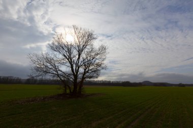 Türkiye 'deki Karadeniz kıyısı Kirklareli ilinin Kiyikoy ilçesi ve çarpıcı arka plan fotoğrafı