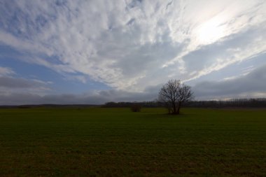 Türkiye 'deki Karadeniz kıyısı Kirklareli ilinin Kiyikoy ilçesi ve çarpıcı arka plan fotoğrafı