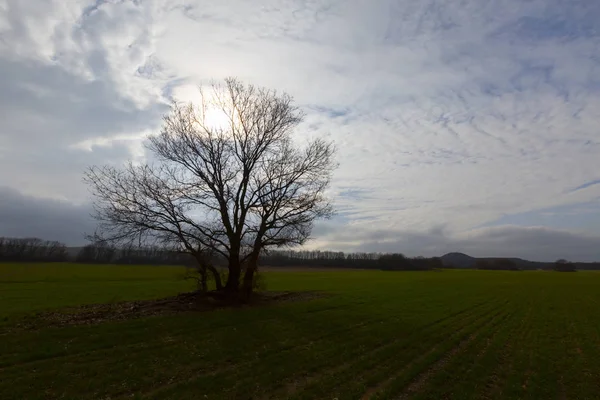 Türkiye 'deki Karadeniz kıyısı Kirklareli ilinin Kiyikoy ilçesi ve çarpıcı arka plan fotoğrafı