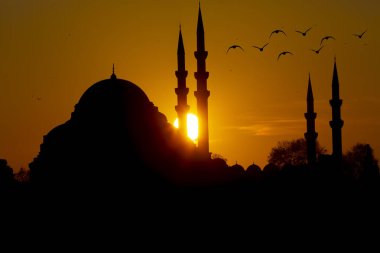 Yeni Cami (Yeni Cami). İstanbul, Türkiye